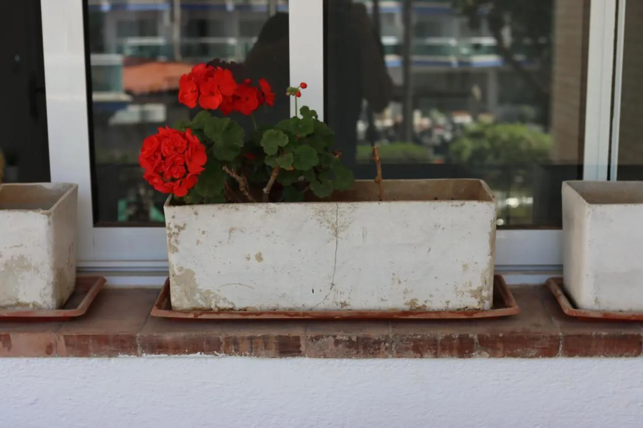 Charming Flat In Puerto Marina, Benalmadena公寓 公寓